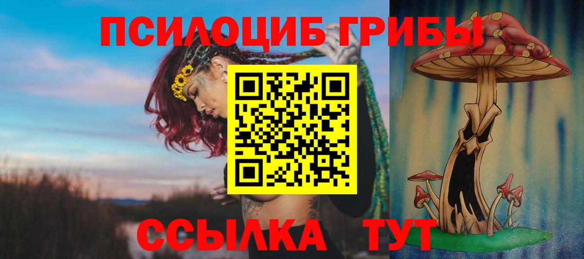 Киселёвск  Псилоцибиновые грибы ЛСД  Вход с VPN 